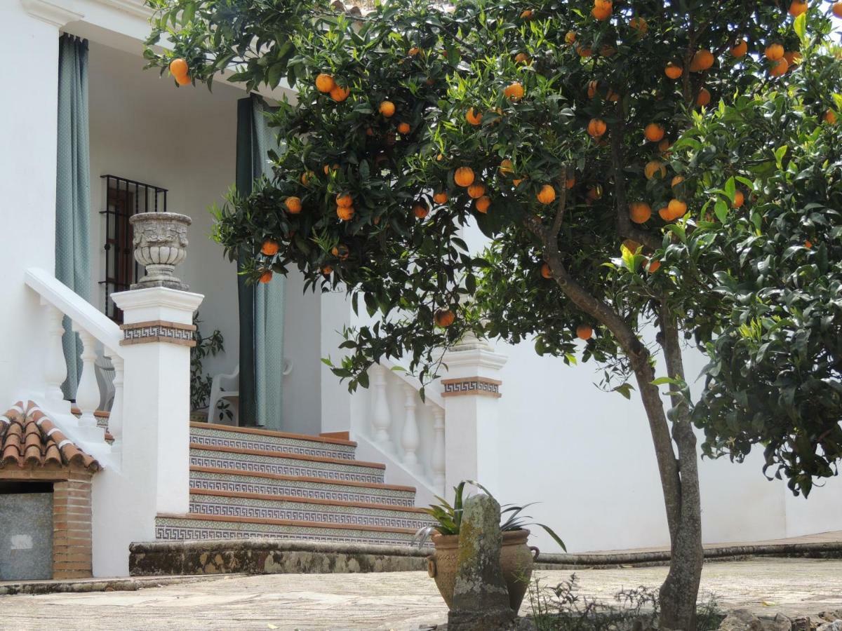 Casas Del Madrono Vila Cazalla de la Sierra Exterior foto
